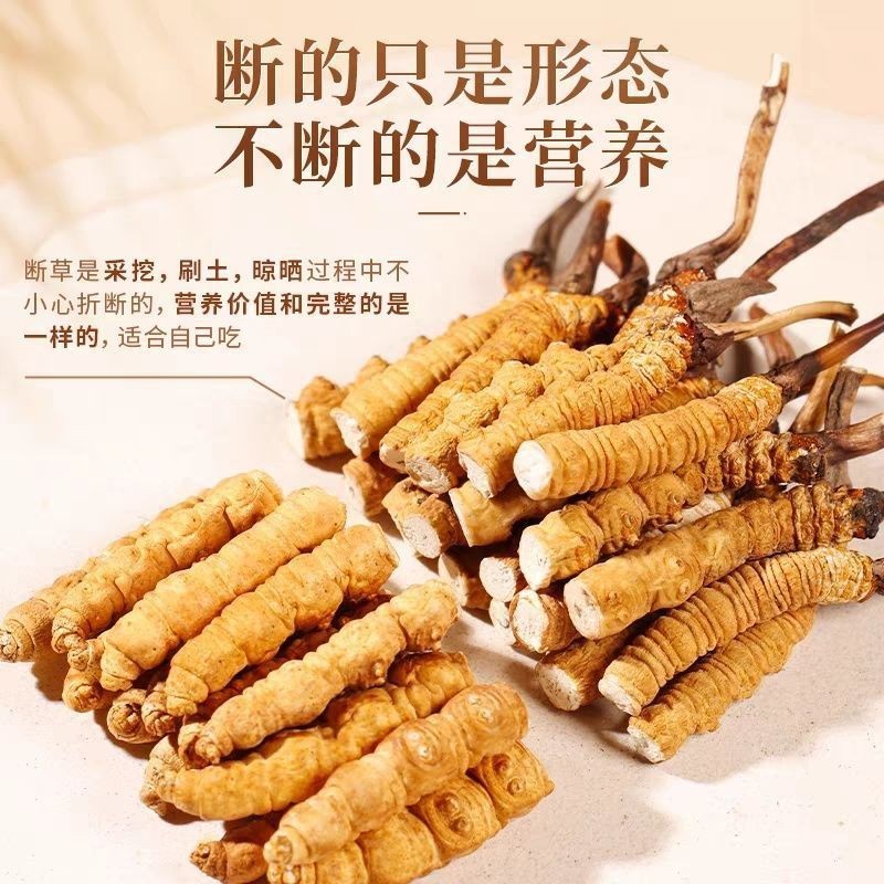 【益西措甄选】正宗头茬冬虫夏草大断草滋补实惠佳品商品图
