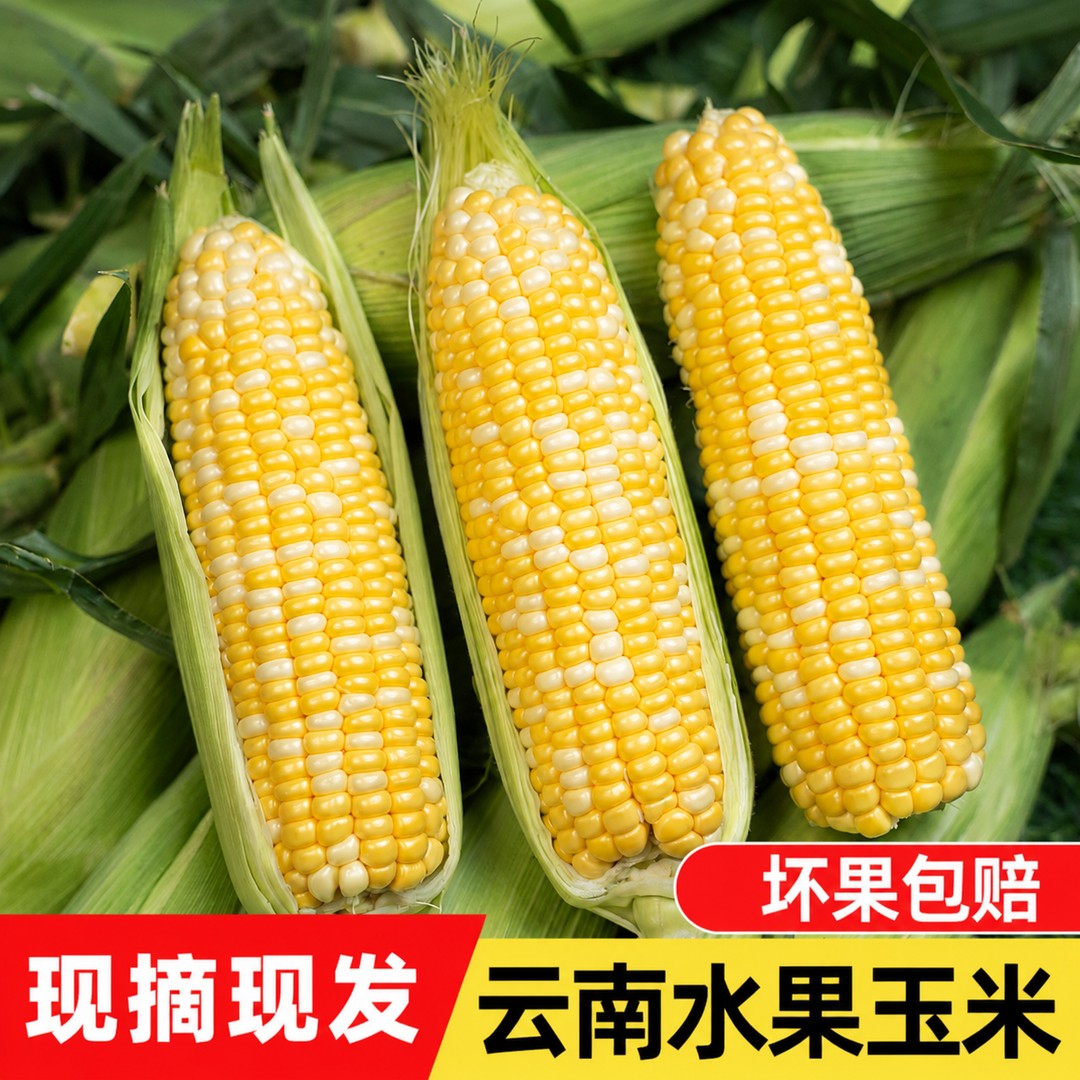 新鲜金银水果玉米甜脆多汁可生吃清甜粗粮早餐食材商品图