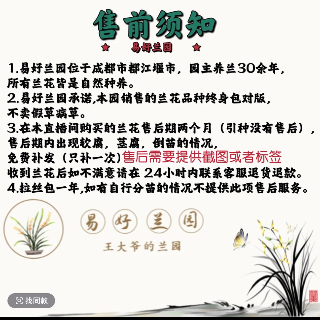 易好兰园兰花直播间1号链接商品图