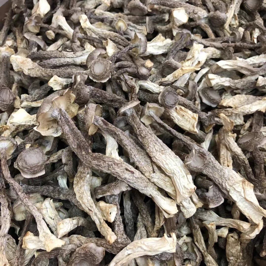 农家鹿茸菇杆粗肉厚味道鲜美商品图