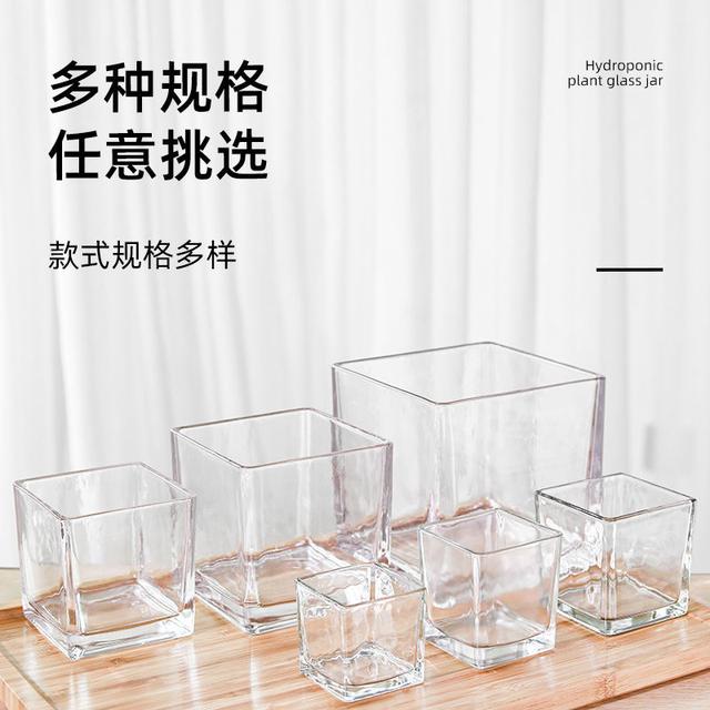 简约水培玻璃花瓶透明方缸水养百合郁金香水仙白掌器皿客厅小花盆商品图