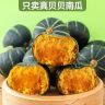 正宗贝贝南瓜粉糯香甜板栗味宝宝孕妇辅食粗粮新鲜蔬菜包邮到家商品图
