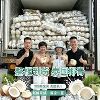香姐家 泰国进口椰青 口感清甜去皮鲜椰青商品图