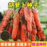 【全店满5包送一包】【胡萝卜种子】胡萝卜蔬菜种子商品图