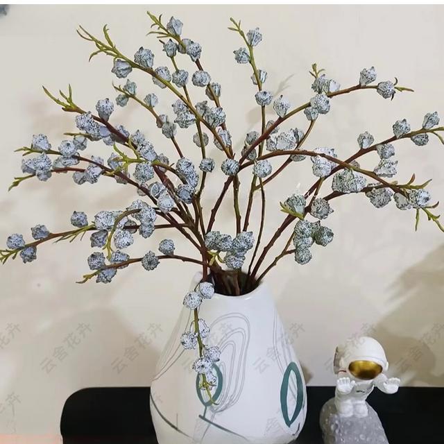 【云舍花卉专属】【尤加利果】观赏果 云南直发全场鲜花满两单包邮商品图