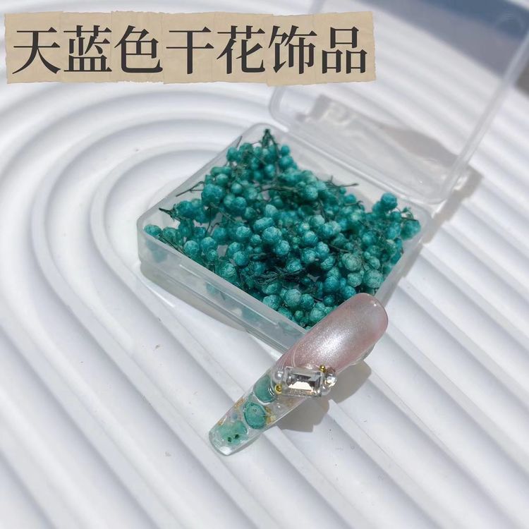 【优选】--美甲DIY混合干花材料包小米粒干花饰品小花苞花瓣指甲商品图