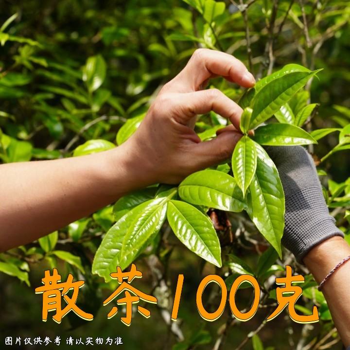 6.4|1219号福利23年临沧南美西山古树春生散茶100g商品图
