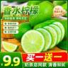 【买一送一】无籽香水柠檬青柠新鲜水果清香四溢商品图