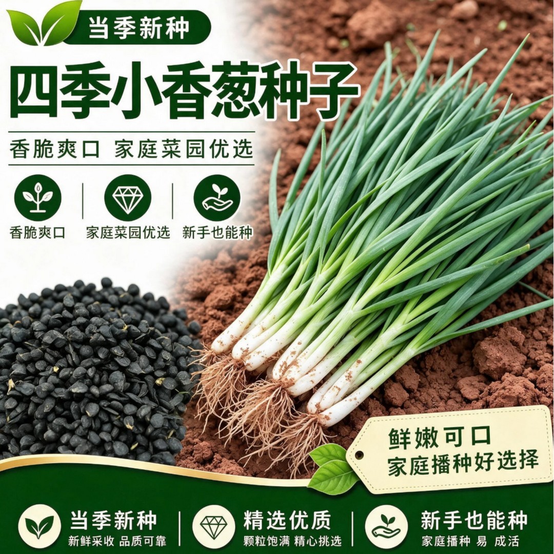 【S】小香葱种子春季阳台盆栽庭院农家作物播种植分葱疏蔬菜种商品图