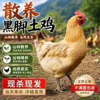 到手3只农家放养土鸡谷物喂养新鲜宰杀速冻锁鲜走地鸡生鲜鸡肉商品图