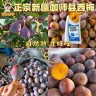 【秀兰鲜季】正宗新疆喀什伽师县西梅肉厚多汁净重3/4斤 内地仓顺丰商品图