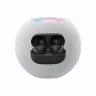 99新 Sony/索尼 WF-1000XM4真无线蓝牙降噪耳机音响降噪豆蓝牙5.2商品图