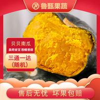 【鲁甄】贝贝南瓜5斤 单果300g+ 约4-8个商品图