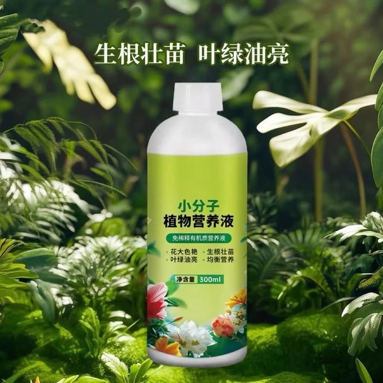“小分子植物营养液生根壮苗叶绿油亮液体肥复合肥”商品图