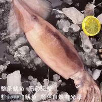 【拍6斤送3斤】到手9斤深海原浆大鱿鱼(良心商家)顺丰冷链包邮 TK商品图