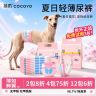 cocoyo公狗纸尿裤轻超薄透气吸收舒适干爽母狗姨妈巾生理裤商品图