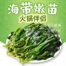 霞浦特产盐渍海带苗火锅麻辣烫串串食材海带嫩芽海带嫩苗商品图