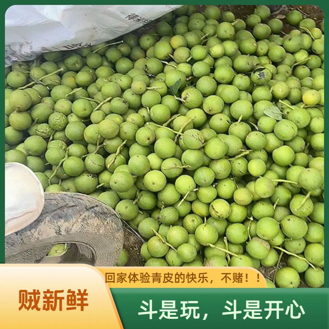 新鲜青皮盘山核桃公子帽白狮子官帽商品图