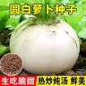 【全店满5包送一包】【圆白萝卜种子】春不老萝卜甜水果萝卜种子蔬菜商品图