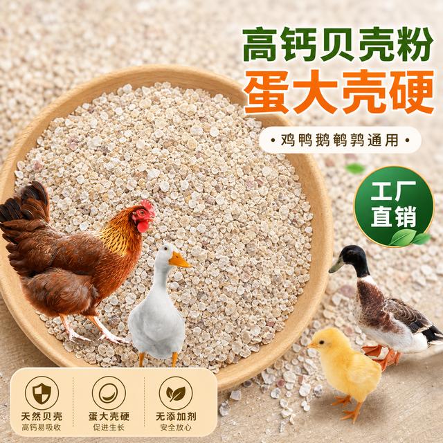 天然贝壳粉鸡鸭鹅鸽子补钙产蛋通用牡蛎粉高钙饲料添加剂提升蛋量商品图