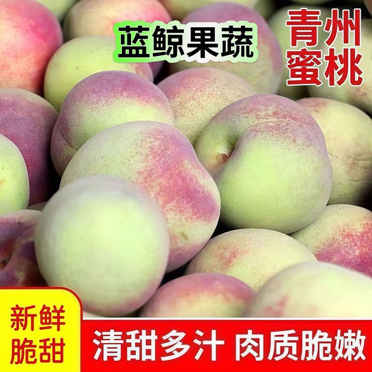 【到手净重4.5斤】正宗山东青州蜜桃新鲜时令水果桃当季脆桃L/567商品图
