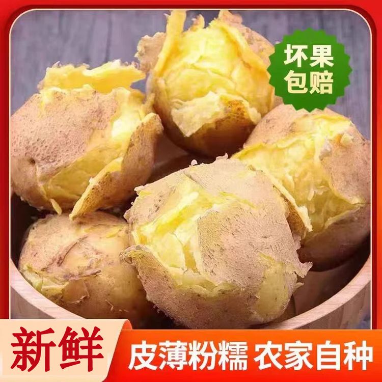  【9斤-10斤】26年新土豆沙糯粉面开花洋芋沙地黄皮黄心洋芋商品图