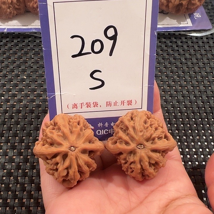 把件文玩核桃209号秦闷尺寸33全品商品图