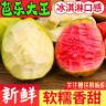 (冰淇淋口感)广西双拼软糯应季红心芭乐水果2斤5斤新鲜白心番石榴商品图
