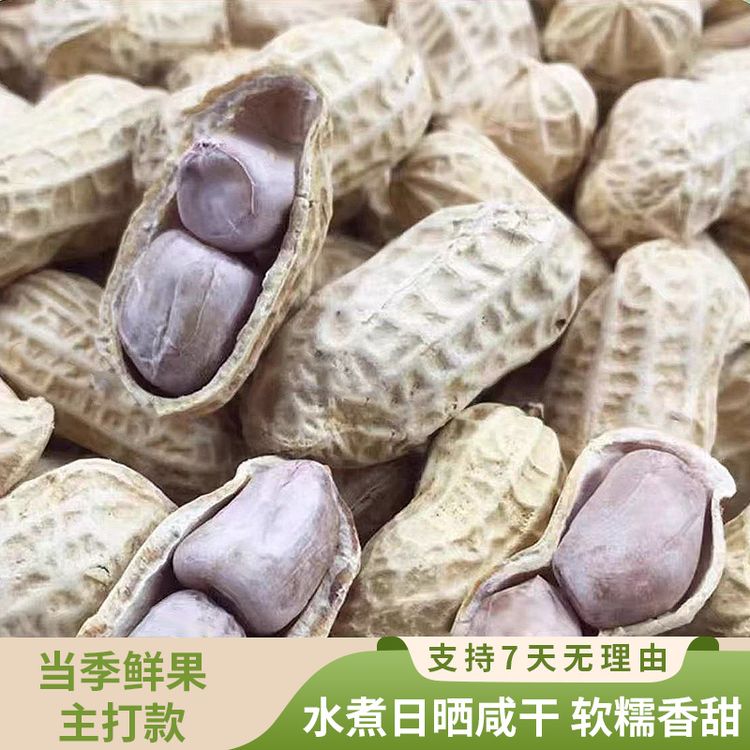 【26年新货500g】龙岩水煮晒干花生咸干白晒花生水煮花生坚果零食商品图