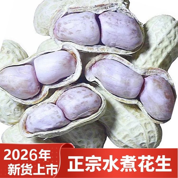 瑾韵2026年新货农家水煮花生咸干晒干盐水花生咸味（香韧有嚼劲）商品图