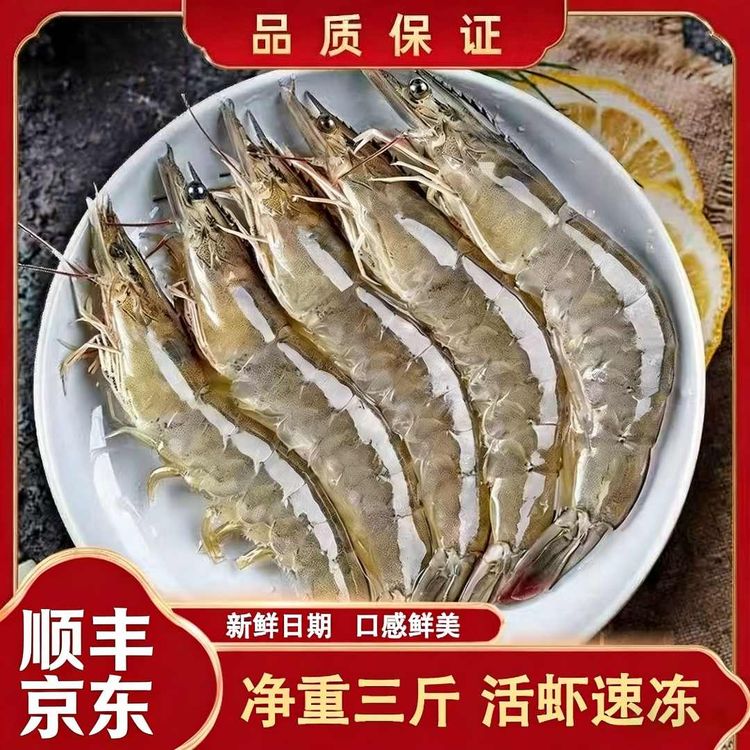 青岛发货大号海虾单只13-16cm，55-65只左右净重3斤活虾速冻4050商品图