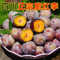 四川高山新鲜现摘小脆红李3/5斤商品图