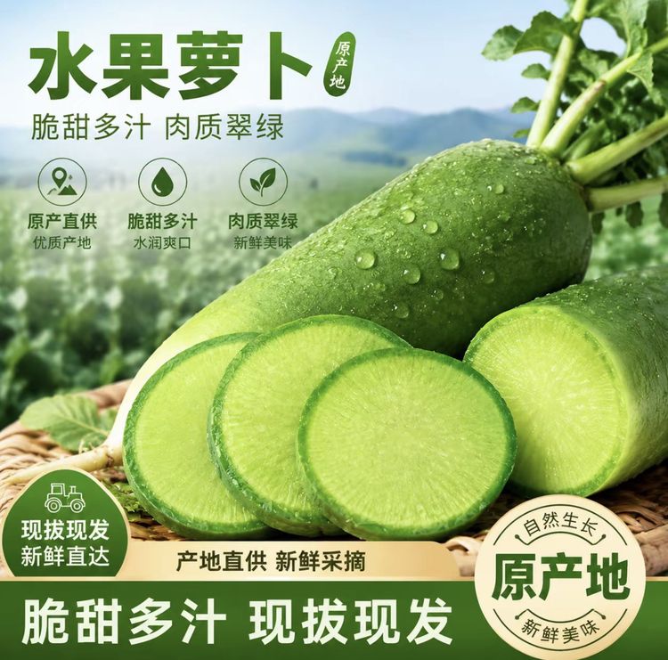 新鲜现拔山东潍坊水果萝卜生吃脆甜微辣农产品青萝卜包邮商品图