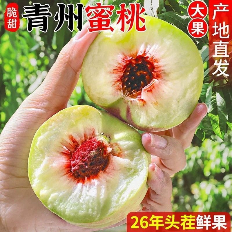 正宗山东青州蜜桃脆甜多汁当季新鲜现摘毛桃应季水果商品图