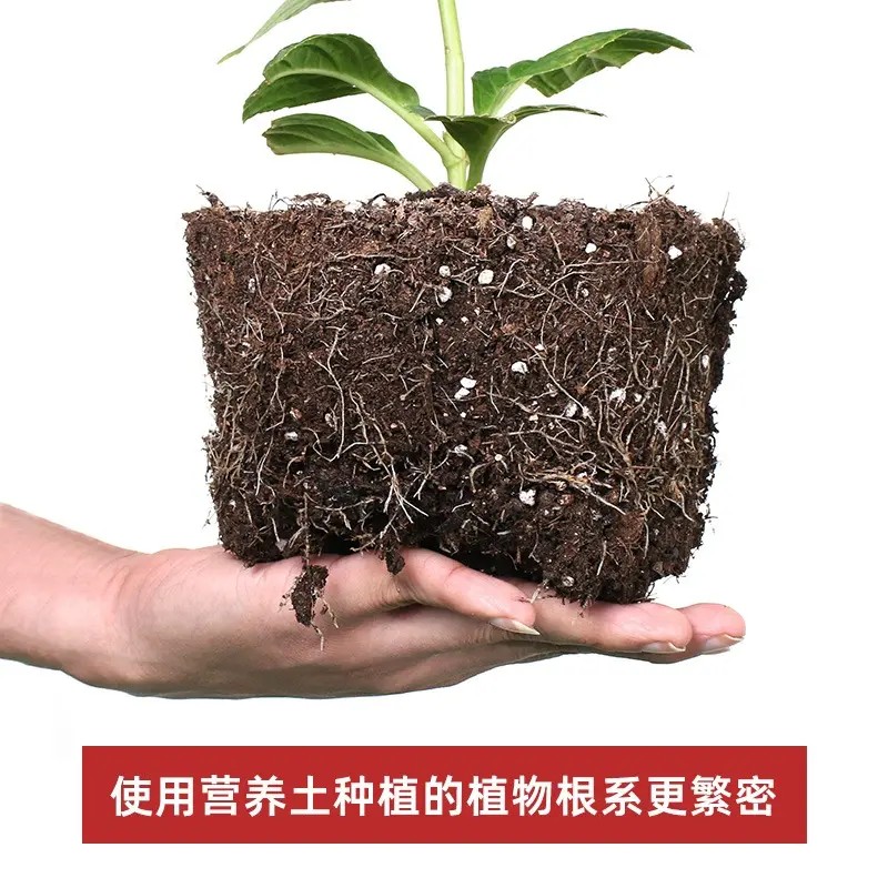 通用型泥炭营养土疏松透气种菜土育苗多肉土绿植花土有机种植土壤商品图