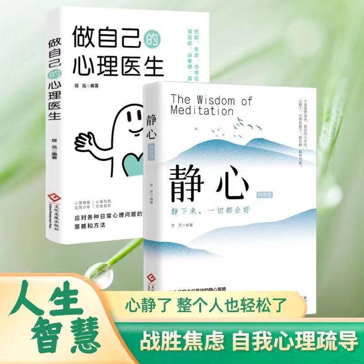 正版 静心的智慧 做自己的心理医生 战胜焦虑抑郁的心理策略心灵 商品图