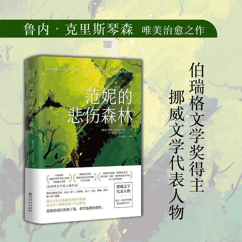 范妮的悲伤森林伯瑞格文学奖入围作品在黑暗中那束属于自己光芒商品图