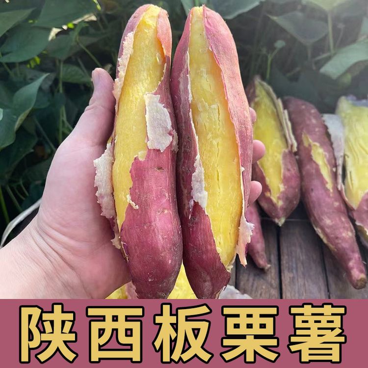 陕西新鲜现挖板栗红薯粉面甘甜香糯番薯粗粮香薯烤地瓜代餐3/5斤商品图