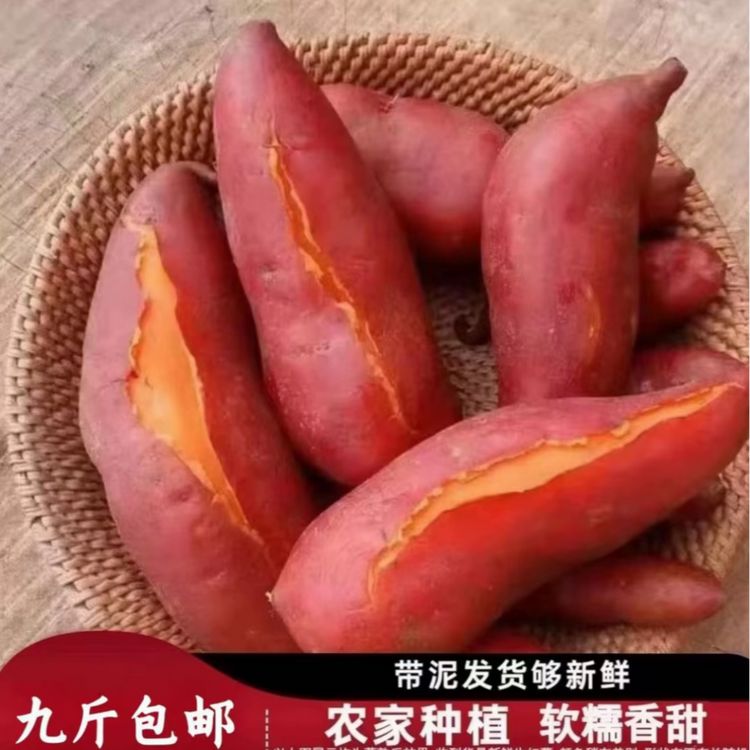 【买5斤送4斤】龙九蜜薯软糯香甜农家现挖软糯糖心新鲜地瓜代餐粗粮商品图