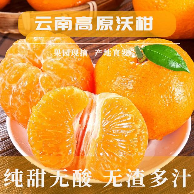 云南大理宾川正宗高原花皮沃柑纯甜无酸无渣产地包邮直发商品图