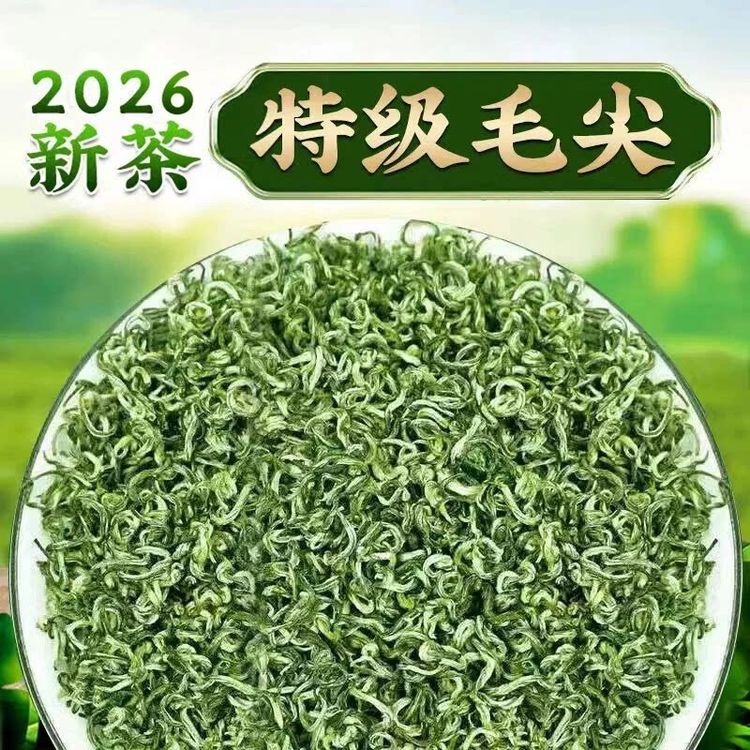 【2026新茶】2#特级贵州都匀毛尖绿茶明前高山云雾春茶浓香手工茶叶商品图