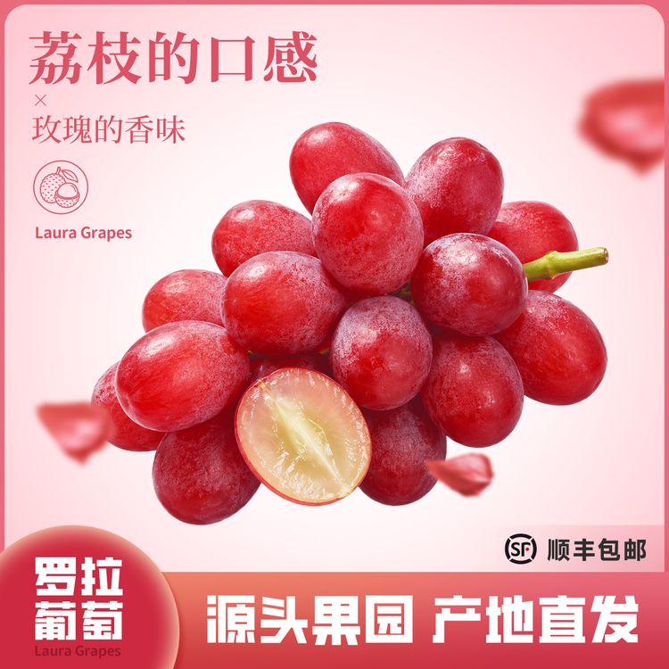 荔枝玫瑰葡萄罗拉玫瑰葡萄香甜多汁花香蜜甜独特荔枝香当季现摘商品图