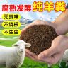 羊粪批发发酵纯羊粪种菜家用农家肥蔬菜绿植养花专用纯羊粪直供商品图