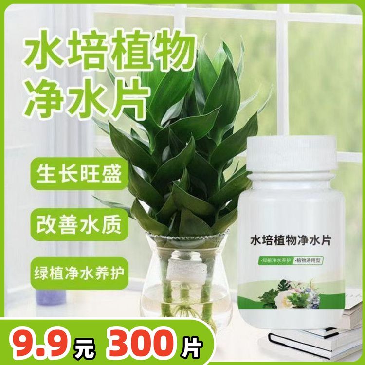  水培植物净水片碗莲富贵竹净水鲜花保鲜片植物复合肥/掺混肥商品图