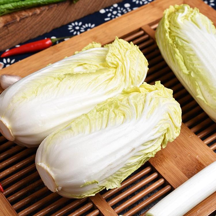 甘肃祁连山高原露天黄心娃娃菜现摘现发新鲜时令蔬菜软糯香甜商品图