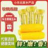 【试吃6棒】东北新鲜黄糯玉米每支300-350g(拍8送6)整箱9.5-10斤商品图