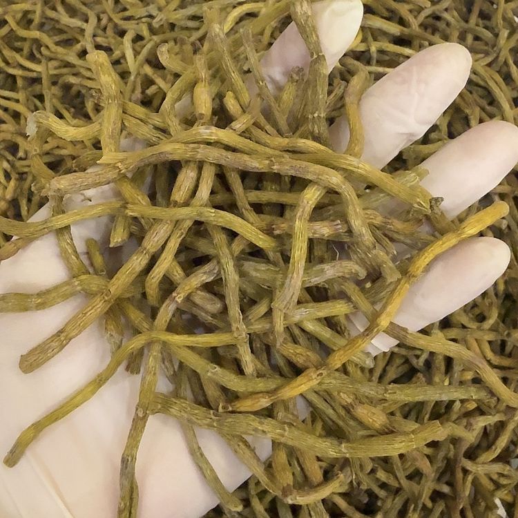 清货特惠粉丝福利 霍山铁皮石斛条 足干断条胶质饱满炖煮煲汤打粉商品图