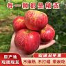 【现摘】云南昭通红露苹果现摘现发脆甜多汁产地直发丑苹果5/10斤商品图