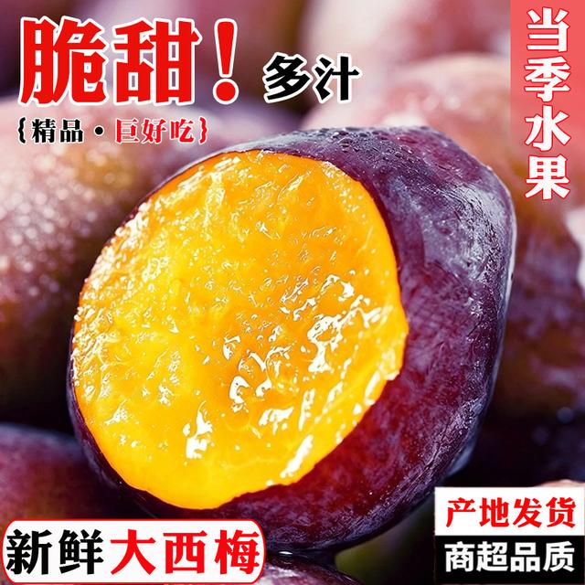 高山蓝蜜西梅 新鲜当季上市水果应季产地新鲜供应直发包邮商品图