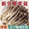 【抢一斤】新货头茬高山鹿茸菇干货无熏硫商用菌菇煲汤炒菜批发蘑菇商品图